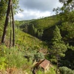 Val de Moses yoga Portugal