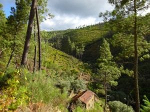Val de Moses yoga Portugal