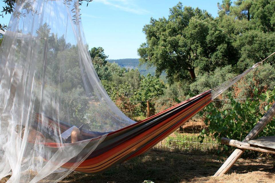 10704129_802692343116466_2806621246697481981_n