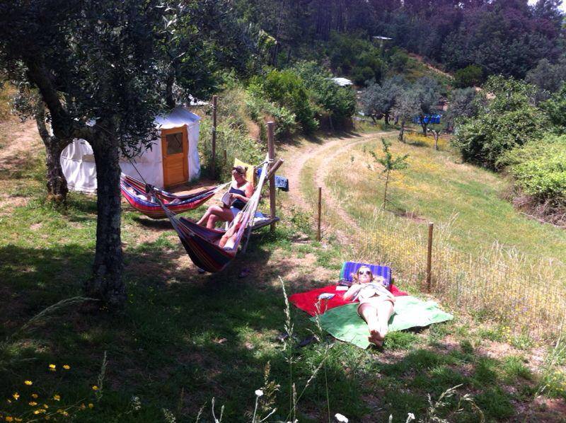 1470105_757888487596852_2917366512983721965_n