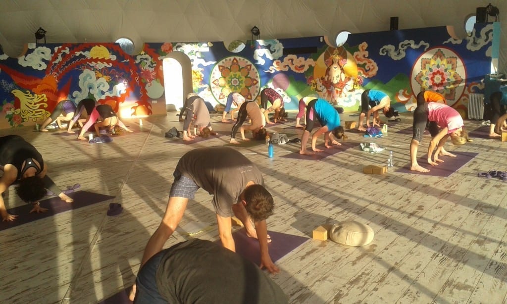 Vinyasa and Yin Yoga Teacher Training