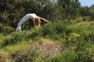 Screen Shot 2016-03-28 at 10.36.26 AM