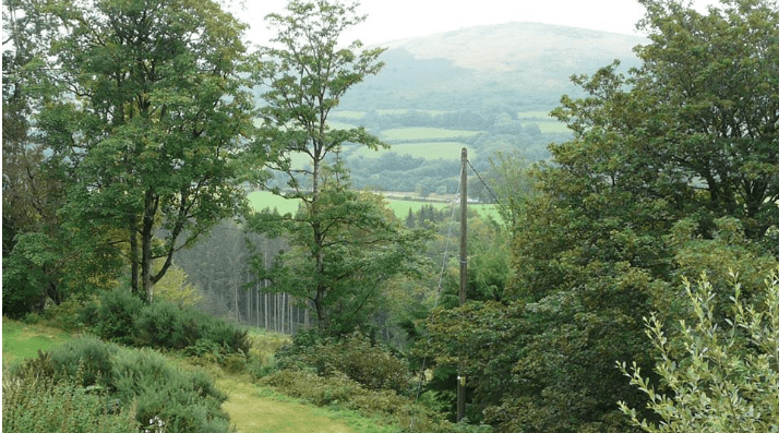 Screen Shot 2016-05-15 at 10.33.15 AM