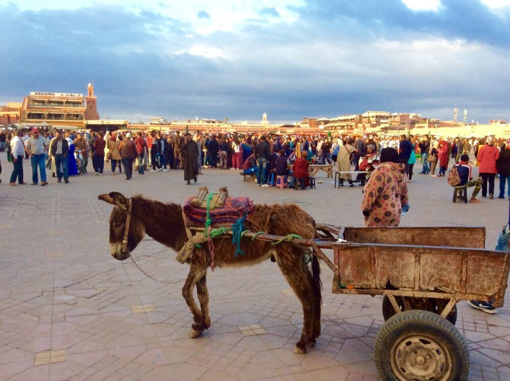 pilates and photography