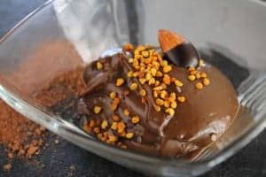 Algarve Raw Food Detox