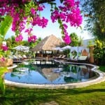 navutu dreams wellness retreat