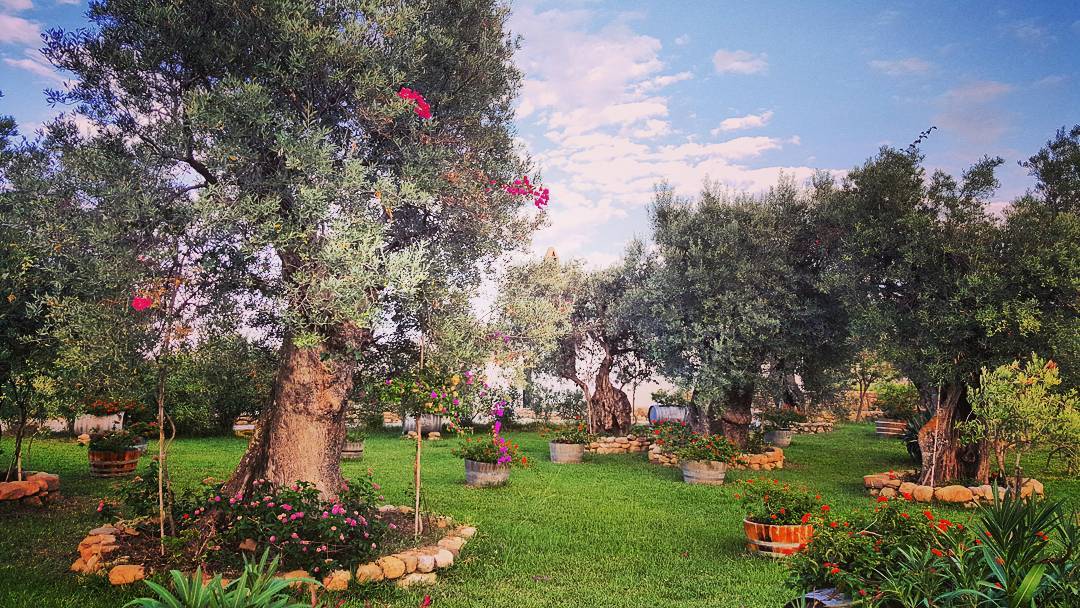 14278979_1031323350314069_930596390_n