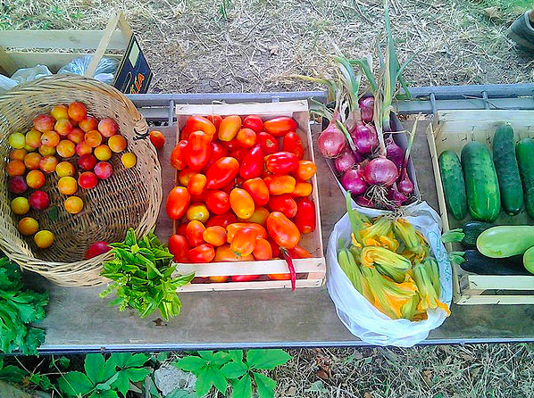 screen-shot-2016-11-13-at-16-32-52