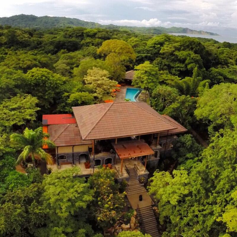 bodhi tree costa rica
