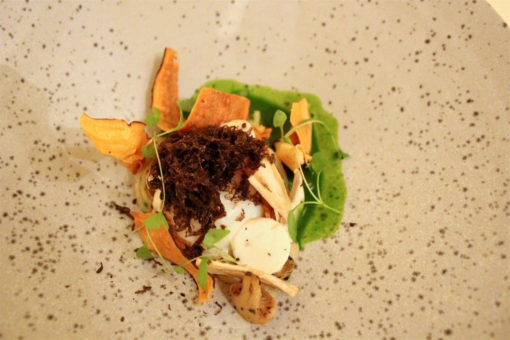 16177639_1267634066650617_8018175334463405069_o (1)