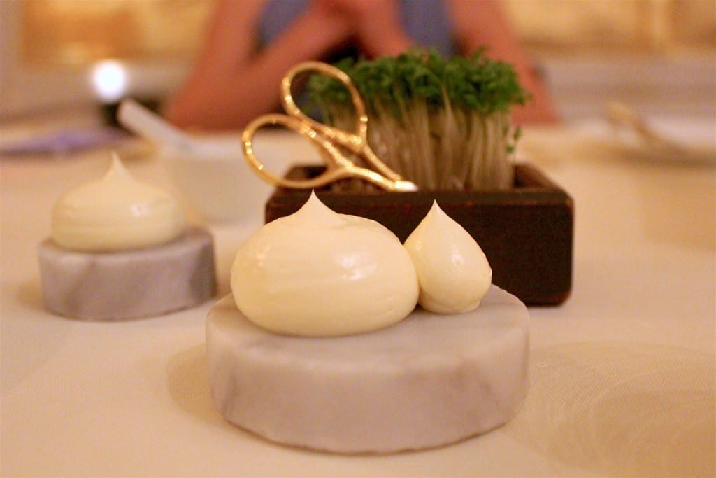 16178624_1267631883317502_7024332896765487368_o