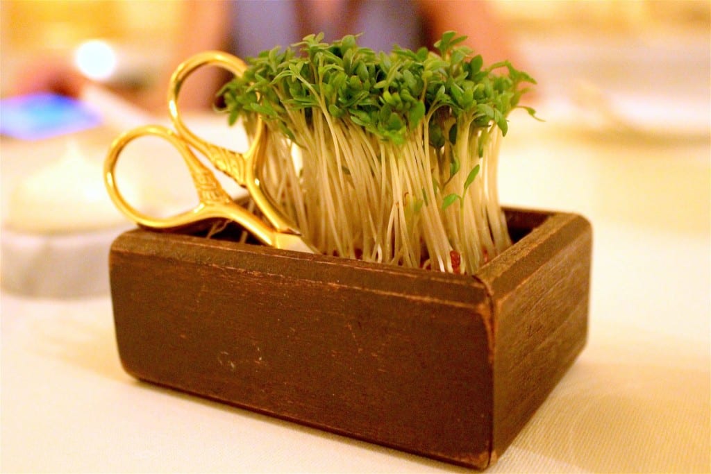 16178798_1267634379983919_2505317647735204274_o