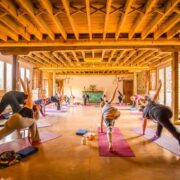 August bank holiday yoga