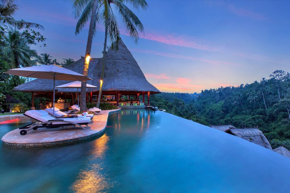 The viceroy Bali