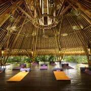 4 Day Colonic & Detox Retreat in Ubud