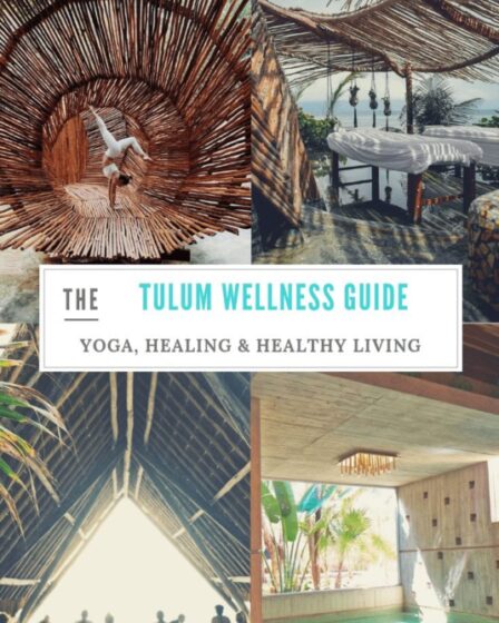 TULUM WELLNESS GUIDE