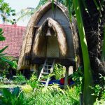 Desa Seni Yoga and Pilates retreat