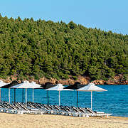 5 Day Luxurious Yoga Holiday in Halkidiki, Greece, Open from May - October