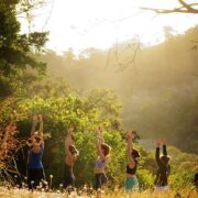 3 Week 200 Hour Yoga Teacher Training in Verona