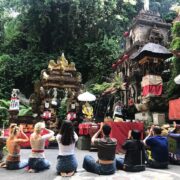 Transformational Yoga & Meditation Retreat in Ubud