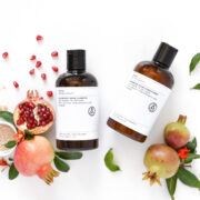 Evolve Organic Natural Superfood Shine Shampoo - travel size