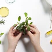 Neals yard online vitality & wellness workshop