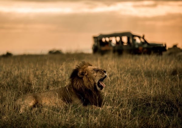 Ashnil Lodges and Camps