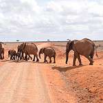 Ashnil Lodges and Camps