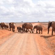 Ashnil Lodges and Camps