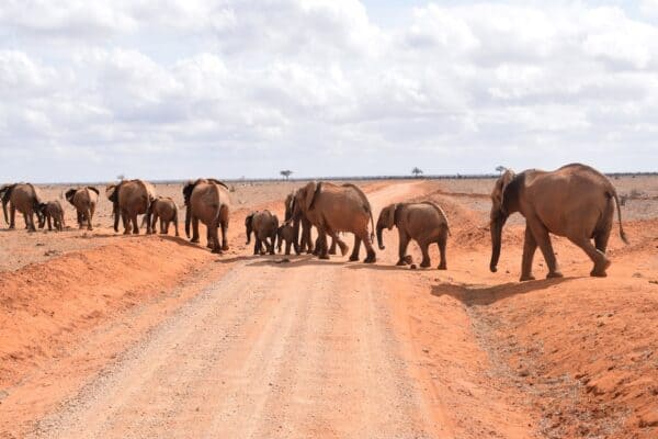 Ashnil Lodges and Camps