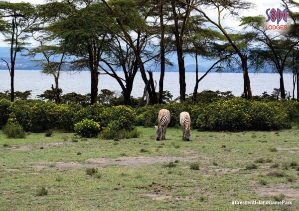 LAKE NAIVASHA SOPA RESOR