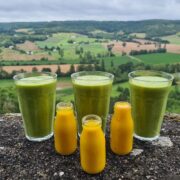 Organic Juice Detox & Yoga Retreat, France: 10 September - 17 September / 17 September - 24 September