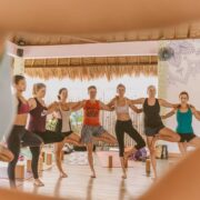 200hr Vinyasa, Yin and Chinese Medicine yoga teacher training in Nusa Lemongan
