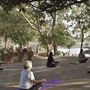 Luxurious Yoga, Meditation, Reiki Healing, Taj Mahal & Culture | Rajasthan, India | 3rd - 13th October