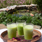 Gentle Cleansing Retreat at Under the Linden Tree | Tinos Island, Greece