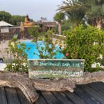 Christmas Yoga Retreat Canary Islands