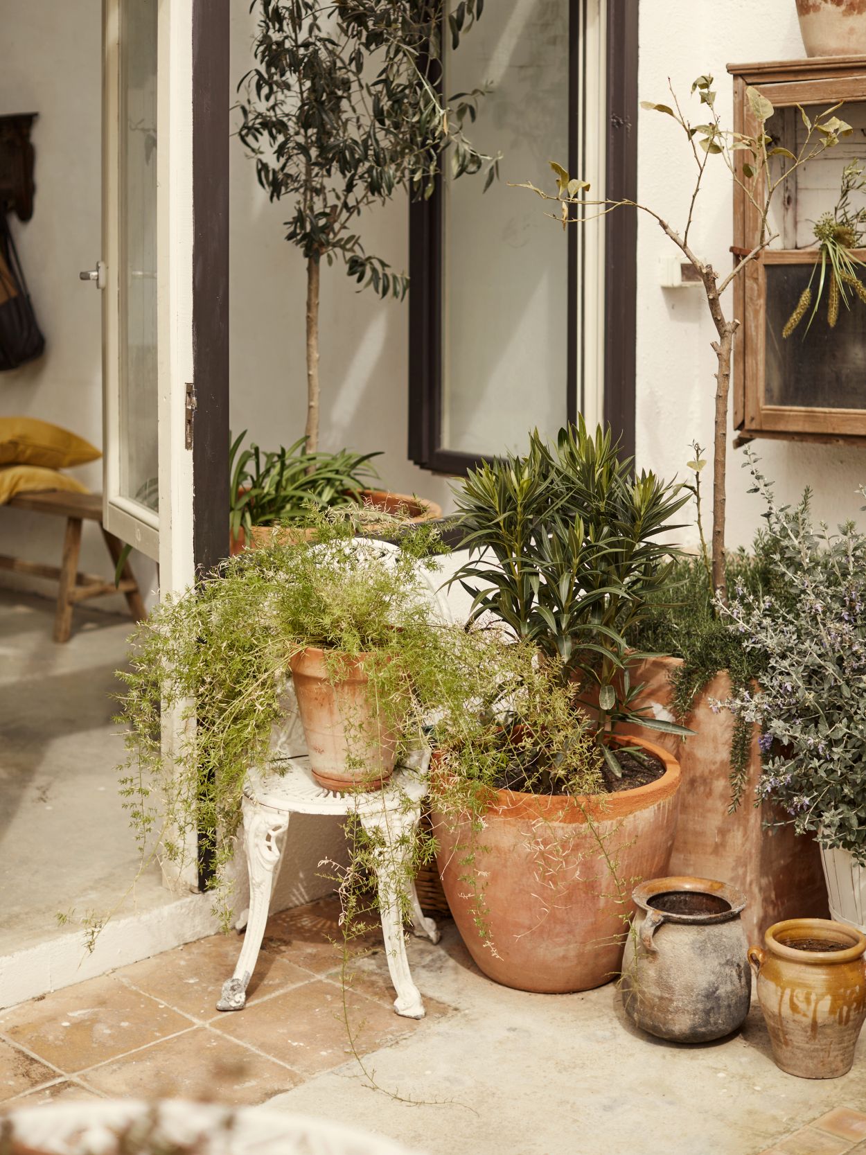 els-igols-shoot-fotoskolorna20220324_Els_Igols0607