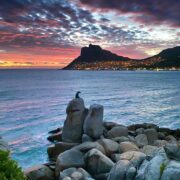 Riavvio 7-Day Cape Town Wellness Retreat